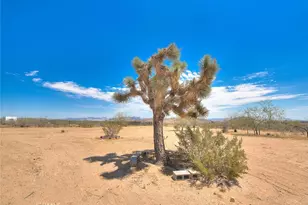 55525 Ornelas Ln, Landers, CA 92285 - Photo 44