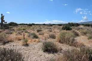 33 Antelope, Llano, CA 93544 - Photo 1