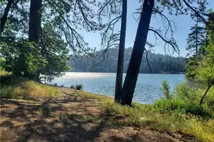 303 CA-138, Crestline, CA 92325 - Photo 8