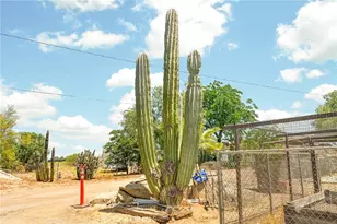 21470 Old Elsinore Rd, Perris, CA 92570 - Photo 48