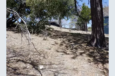 0 Holcomb Creek, Green Valley Lake, CA 92341 - Photo 14