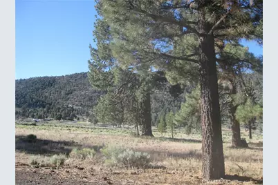 2824 Erwin Ranch Road, Big Bear City, CA 92314 - Photo 4