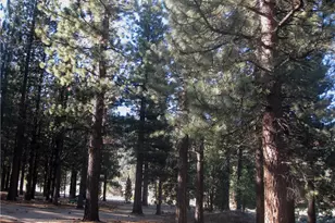 2818 Erwin Ranch Rd, Big Bear City, CA 92314 - Photo 1
