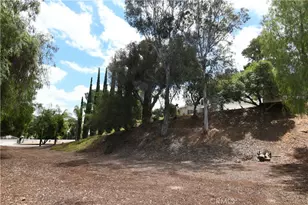17371 Mockingbird Canyon, Riverside, CA 92504 - Photo 26