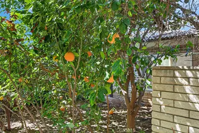 5462 Sierra Vista, Riverside, CA 92505 - Photo 40