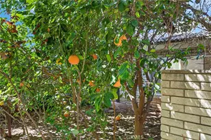 5462 Sierra Vista, Riverside, CA 92505 - Photo 40