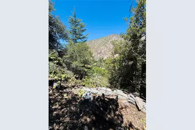 955 San Antonio Creek, Mount Baldy, CA 91759 - Photo 1
