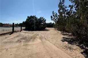 15872 Muscatel, Hesperia, CA 92345 - Photo 10