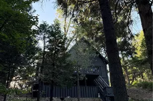 380 Dolly Varden, Lake Arrowhead, CA 92352 - Photo 16