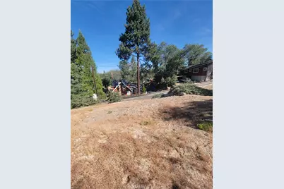 33345 Angeles, Green Valley Lake, CA 92341 - Photo 10