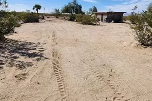 67826 Daisy, 29 Palms MCB, CA 92277 - Photo 2