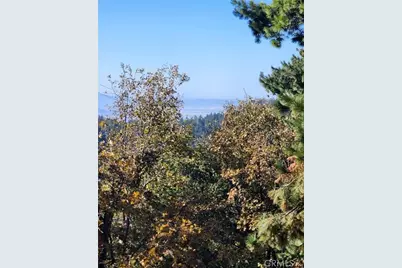 900 Lo Lane, Twin Peaks, CA 92391 - Photo 6