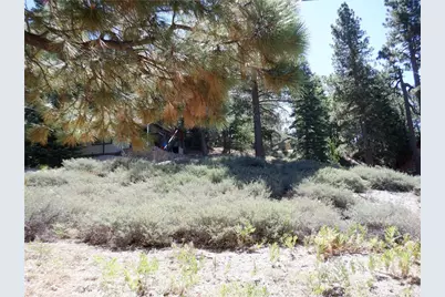 0 Wild Rose, Green Valley Lake, CA 92341 - Photo 4
