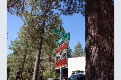 0 Wild Rose, Green Valley Lake, CA 92341 - Photo 8