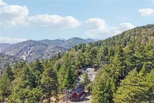 21461 Crest Forest, Cedarpines Park, CA 92322 - Photo 30