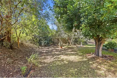 439 Mission Grove, Riverside, CA 92506 - Photo 56