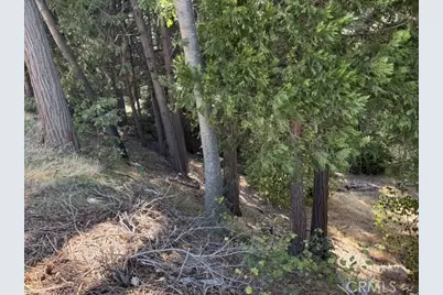 27917 Squirrel Lane, Lake Arrowhead, CA 92352 - Photo 30