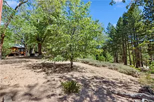 33616 Holcomb Creek, Green Valley Lake, CA 92341 - Photo 26