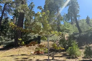 647 Lone Pine, Green Valley Lake, CA 92341 - Photo 54