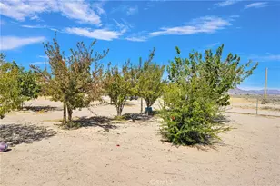 32485 Wren, Lucerne Valley, CA 92356 - Photo 40