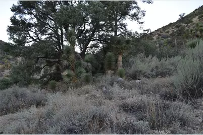 0 Verde, Pinon Hills, CA 92372 - Photo 2