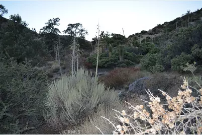 0 Verde, Pinon Hills, CA 92372 - Photo 4