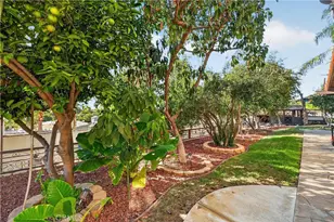 10225 60th, Jurupa Valley, CA 91752 - Photo 24