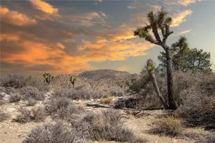 48400 Madison Rd, Pioneertown, CA 92268 - Photo 1