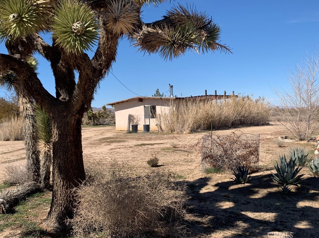 3990 Greasewood St, Yucca Valley, CA 92284-1981
