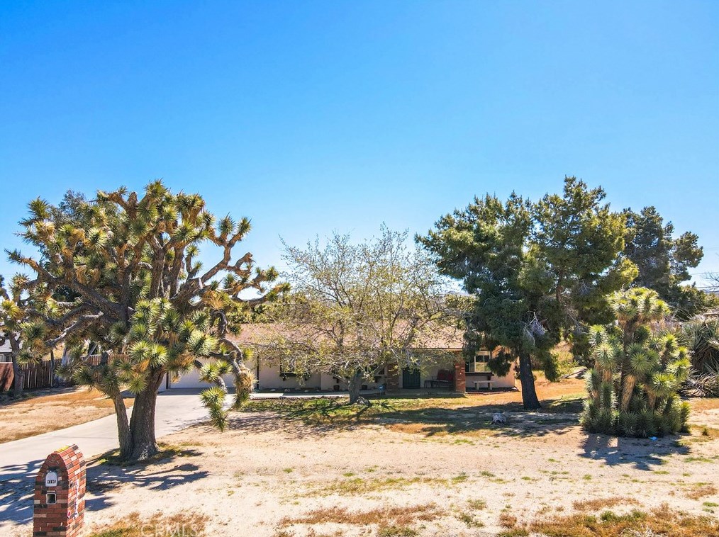 8195 Amador Ave, Yucca Valley, CA 92284-4261