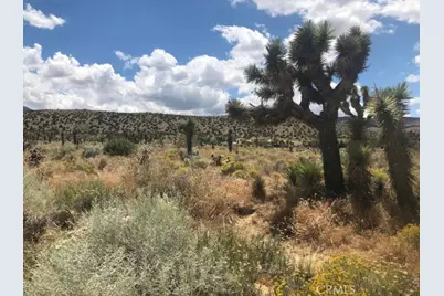 0 Vac/Pearblossom Pav /Vic 160 S, Pearblossom, CA 93591 - Photo 1