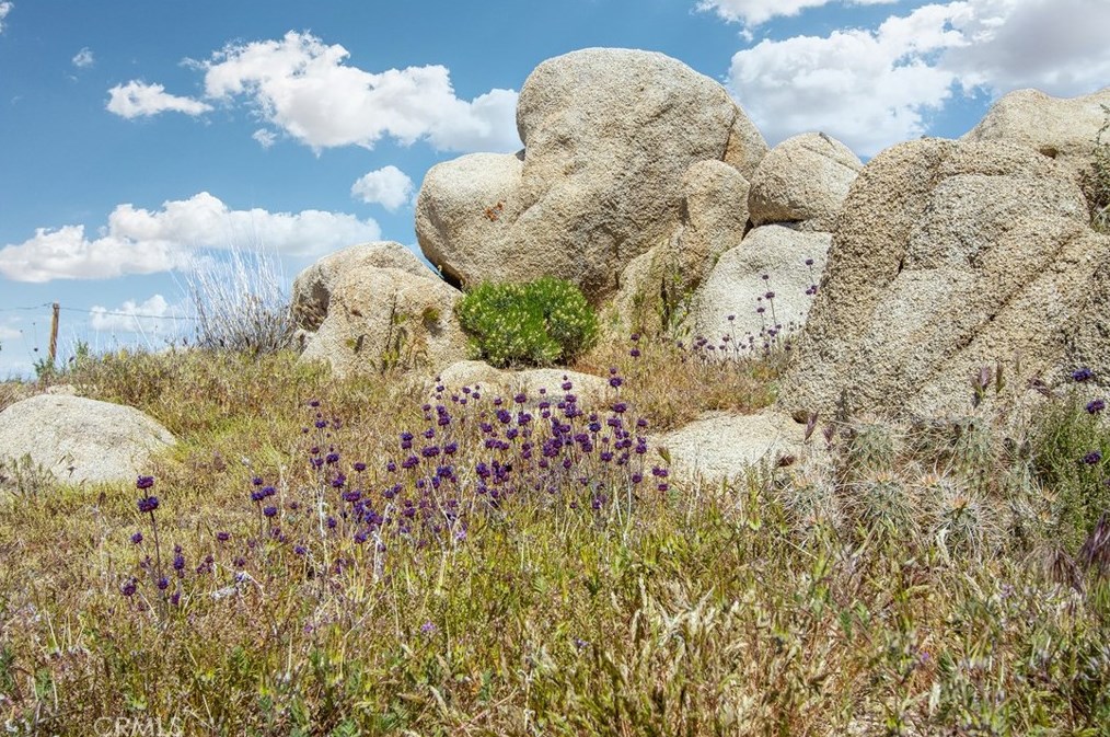 5550 Carlsbad Ave, Yucca Valley CA 92284-2095 exterior