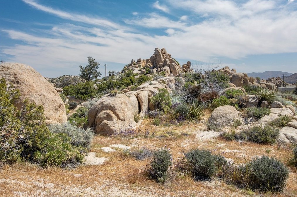 5550 Carlsbad Ave, Yucca Valley CA 92284-2095 exterior