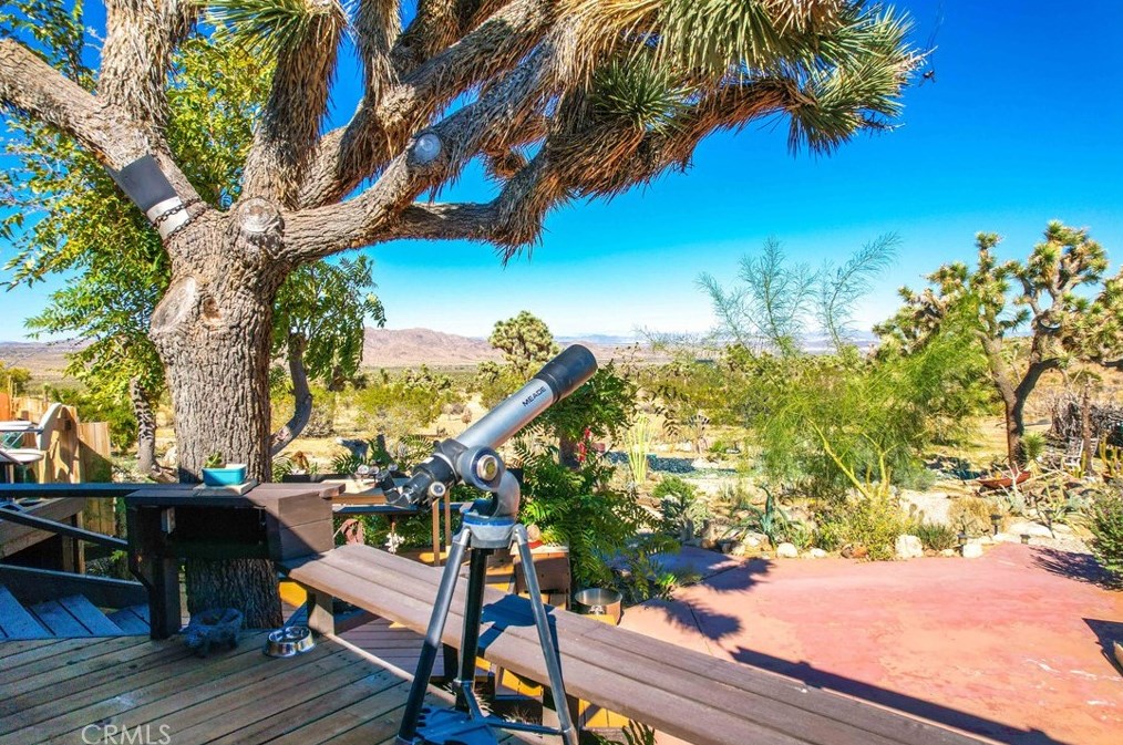 59489 Onaga Trl, Joshua Tree CA  92252 exterior