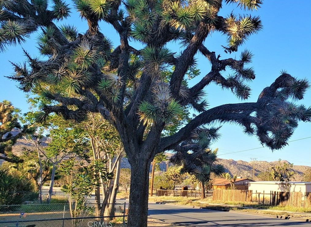 7204 Palm Ave, Yucca Valley CA 92284-4044 exterior