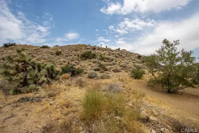 55700 Golden Bee Drive, Yucca Valley, CA 92284 - Photo 4