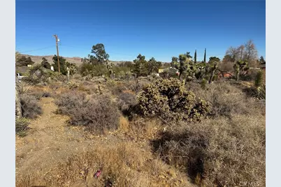 56434 Desert Gold Drive, Yucca Valley, CA 92284 - Photo 4