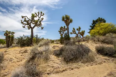 8385 Elk Court, Yucca Valley, CA 92284 - Photo 10