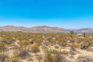 50171 Aspen Dr, Morongo Valley, CA 92256 - Photo 46