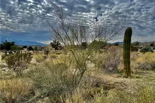 11040 Mescalero Ave, Morongo Valley, CA 92256 - Photo 1