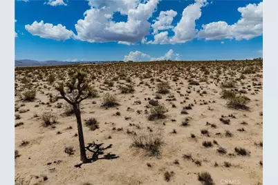 63840 Desert Lily Street, Joshua Tree, CA 92252 - Photo 28