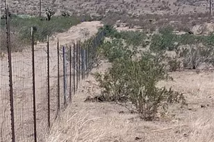 56524 Sunset Dr, Yucca Valley, CA 92284 - Photo 4