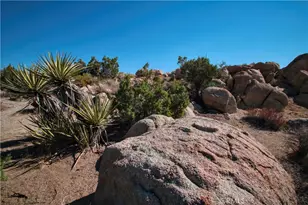 5601 Grand Ave, Yucca Valley, CA 92284 - Photo 26