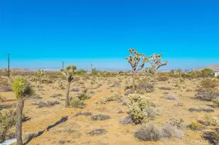 59057 Aberdeen Dr, Yucca Valley, CA 92284 - Photo 20