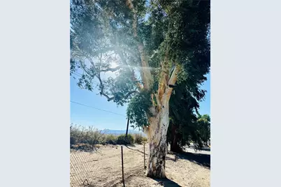 51063 29 Palms Highway #55, Morongo Valley, CA 92256 - Photo 6