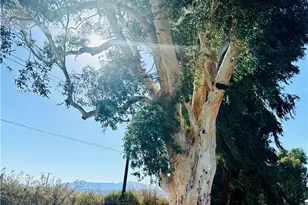 51063 29 Palms Hwy, Morongo Valley, CA 92256 - Photo 6