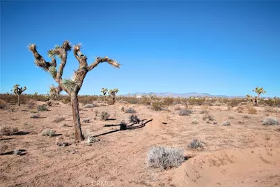 0 Olympic Road, Joshua Tree, CA 92252 - Photo 20