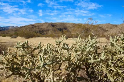 61769 Cowan Lane, Joshua Tree, CA 92252 - Photo 12
