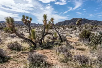 58648 San Marino, Yucca Valley, CA 92284 - Photo 44
