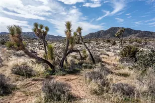 58648 San Marino, Yucca Valley, CA 92284 - Photo 44